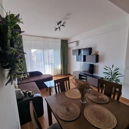 Cosy Spacious Apartment With Parking, Wi-Fi, Smart-Tv Netflix Rosu Exterior photo