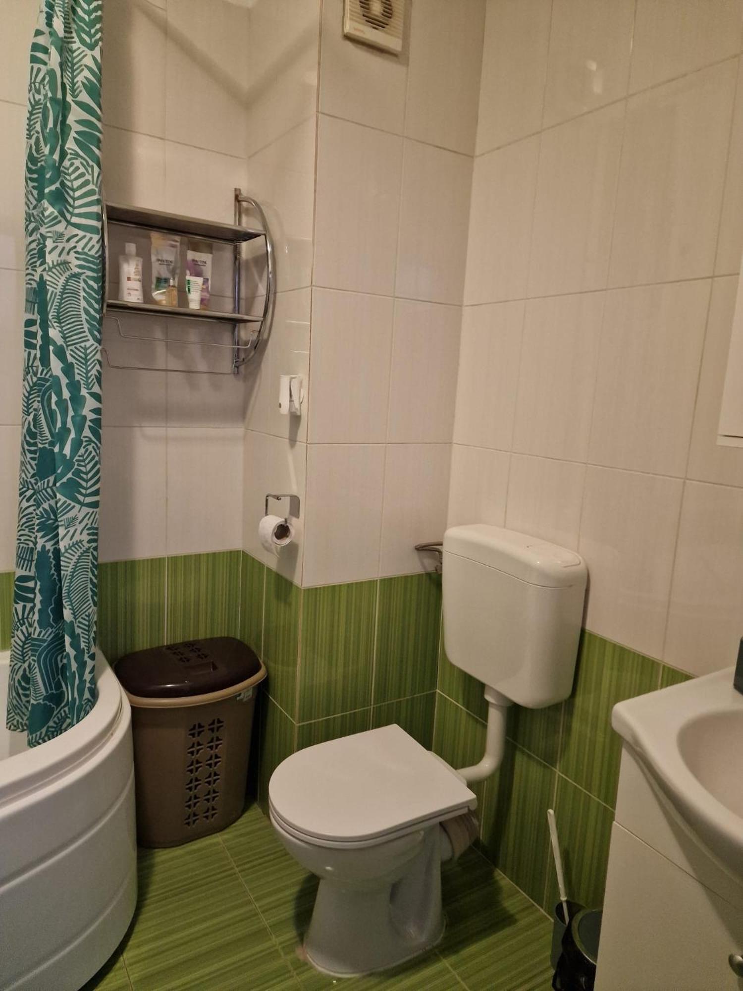 Cosy Spacious With Parking, Wi-fi, Smart-tv Netflix Apartment Rosu